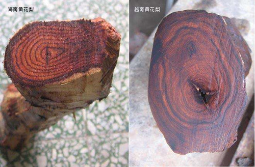 越南黄花梨手串鉴别