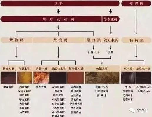 海南黄花梨和草花梨有什么区别呢？