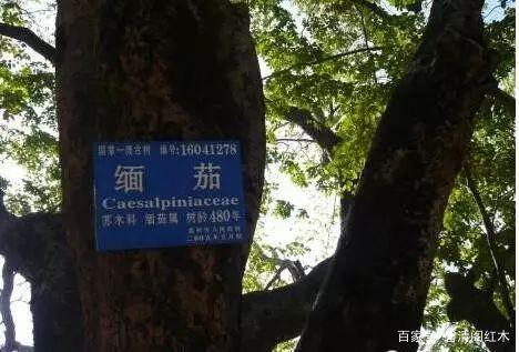 到底有哪些假花梨假酸枝和假紫檀？实际上都不是红木。