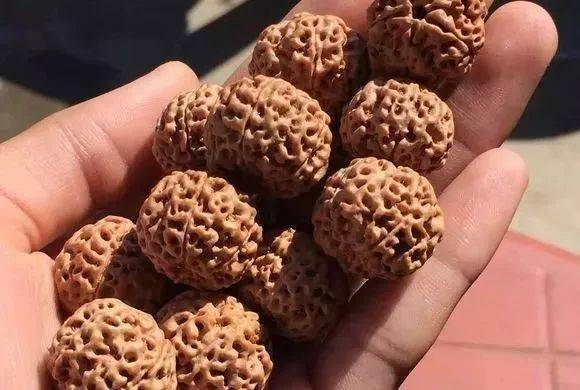 “硬核”金刚菩提手串，我喜欢的原因！ 