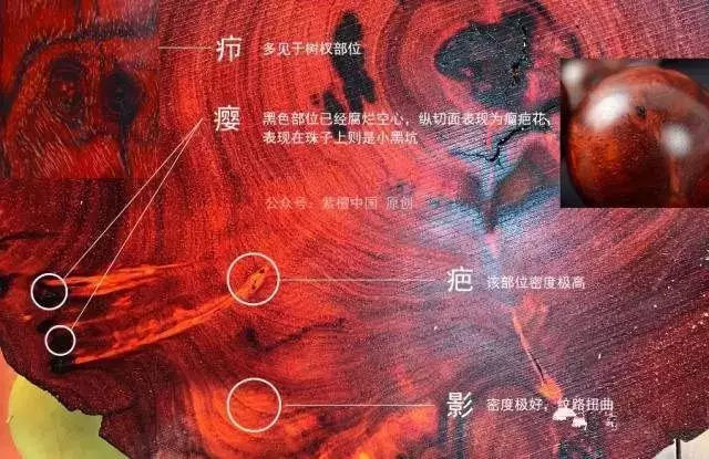 小叶紫檀瘿子、瘤疤详细图解 