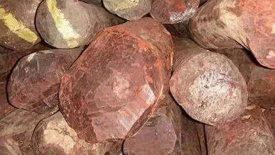 人工林小叶紫檀与野生林小叶紫檀的区别 