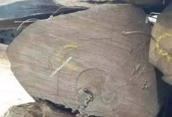 人工林小叶紫檀与野生林小叶紫檀的区别 