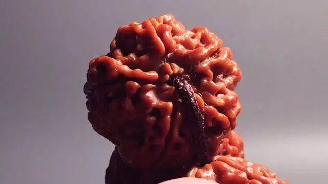 金刚菩提盘玩之挑拍刷，你学会了吗？ 