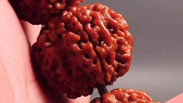 金刚菩提盘玩之挑拍刷，你学会了吗？ 