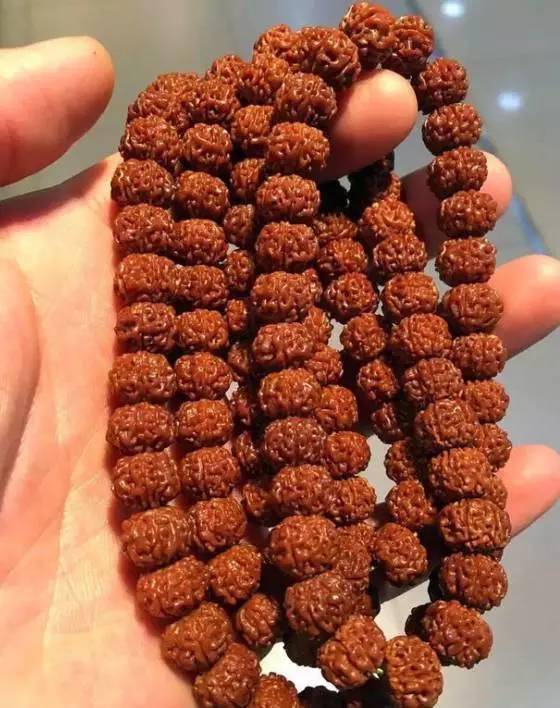 怎么不盘废一条好的金刚菩提 ？ 
