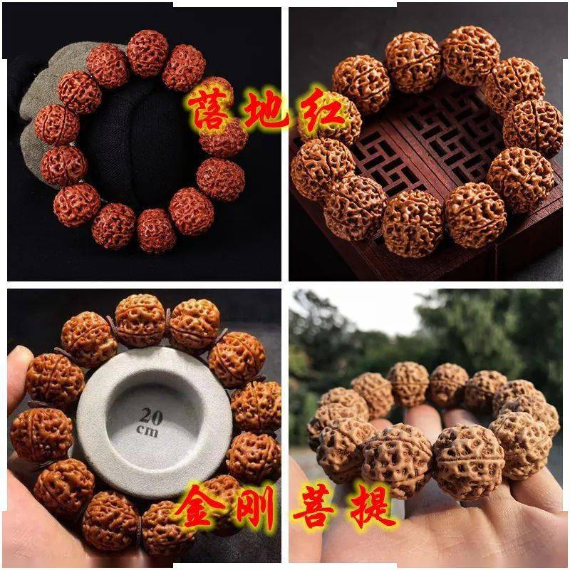大金刚菩提子怎么选购？懂得3点非常重要！
