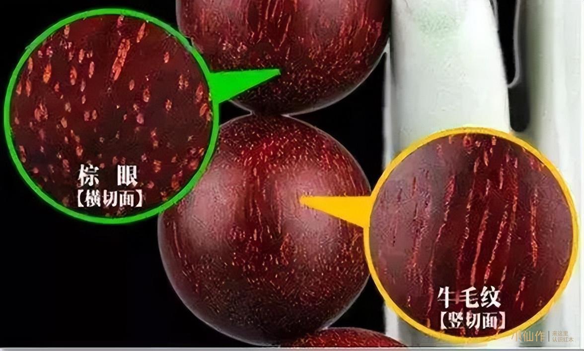 小叶紫檀初玩者应该了解的哪些事？