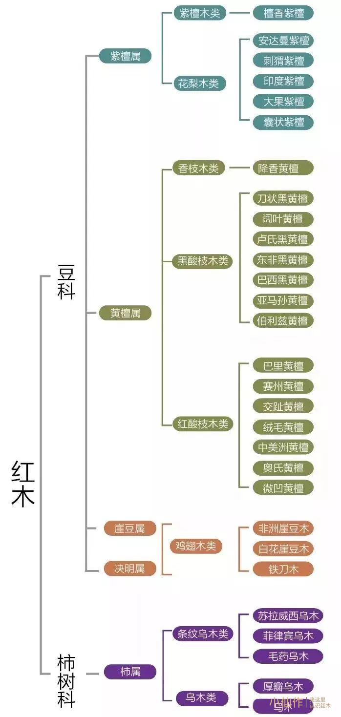 什么是小叶紫檀？