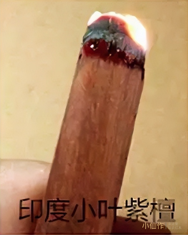 小叶紫檀与科檀、大红酸枝、赞比亚紫檀(血檀)的区别